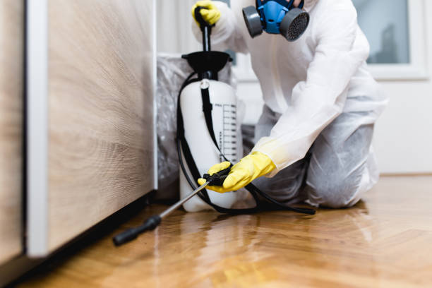 Best Pest Control for Restaurants  in Flandreau, SD