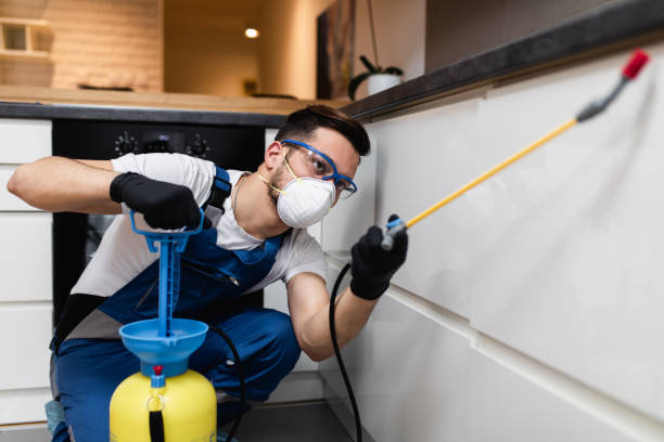 Best Local Pest Control Services  in Flandreau, SD