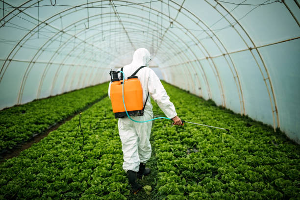 Best Commercial Pest Control Services  in Flandreau, SD