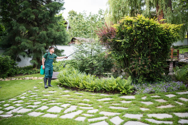 Wasp Removal Services in Flandreau, SD