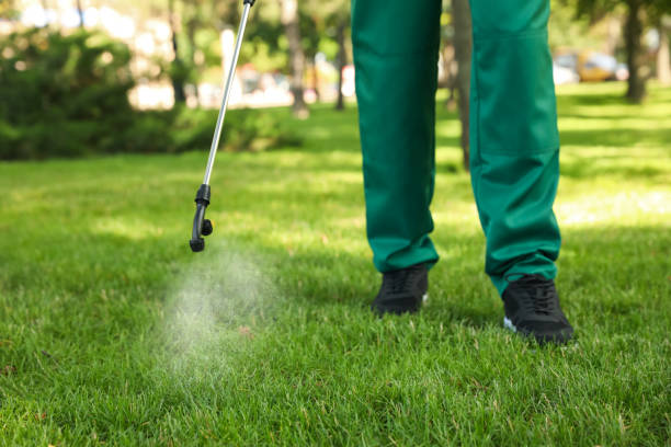 Best Mosquito Control Services  in Flandreau, SD