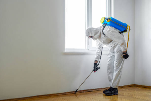 Best Best Pest Control Companies  in Flandreau, SD
