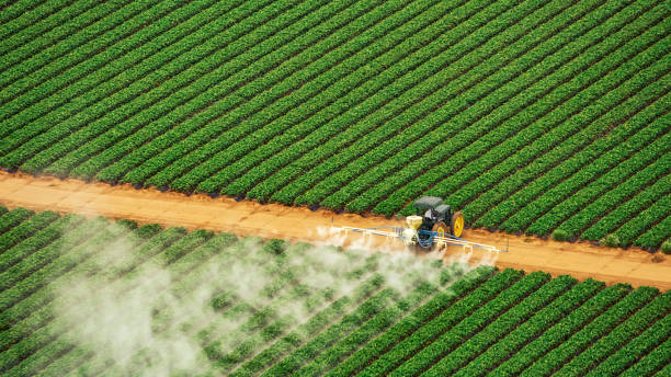 Best Ant Control Services  in Flandreau, SD