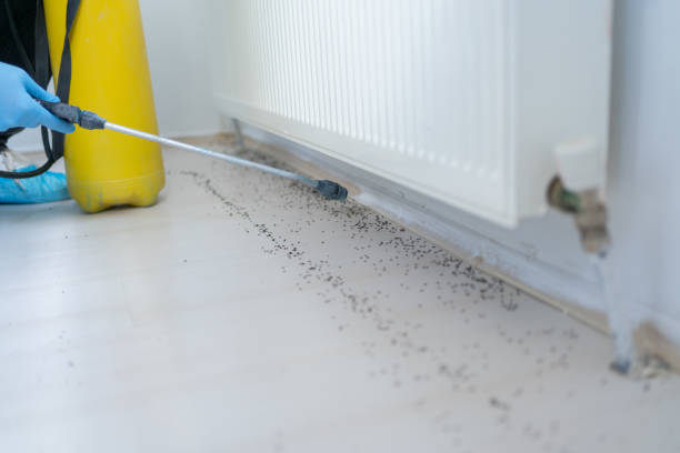 Best Best Pest Control Companies  in Flandreau, SD