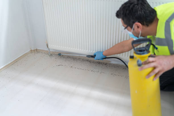 Pest Control for Restaurants in Flandreau, SD