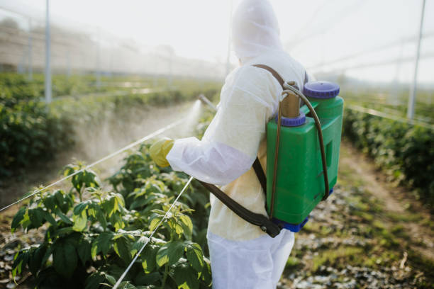 Professional Pest Control in Flandreau, SD